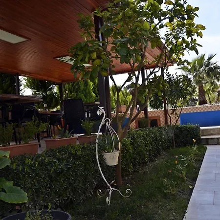 Palmiye Hotel