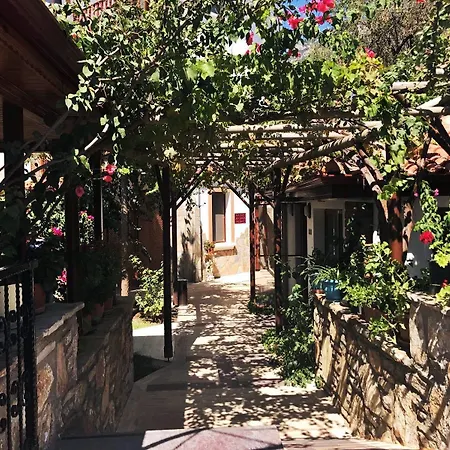 Palmiye Hotel