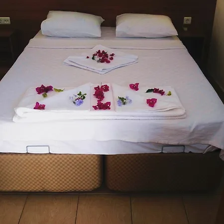 Palmiye * 阿奇亚卡