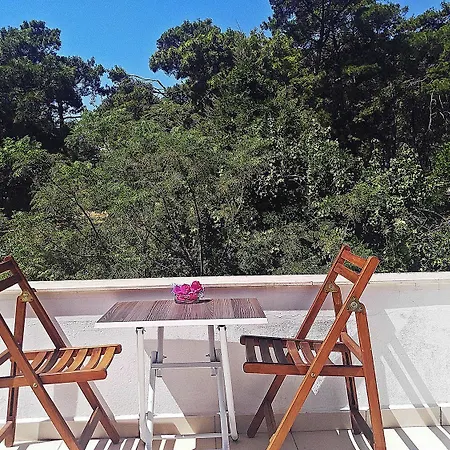 Hotel Palmiye *