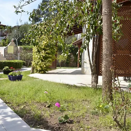 Apartment Palmiye